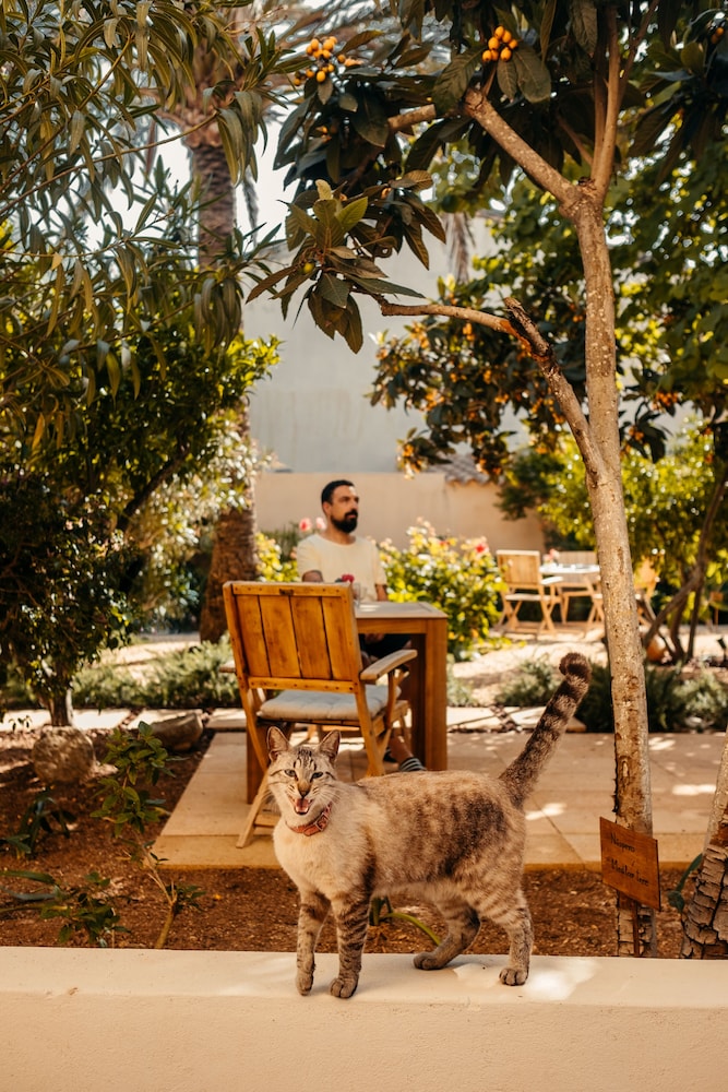 sant llorenc des cardassar