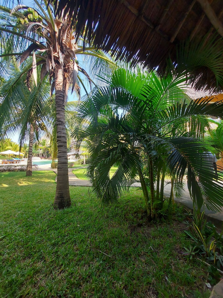 tembo court apartment