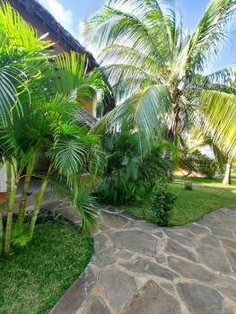 tembo court apartment