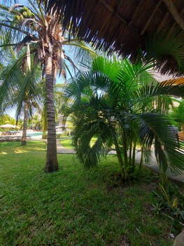 tembo court apartment