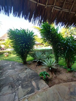 tembo court apartment