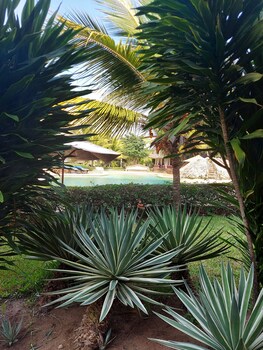 tembo court apartment