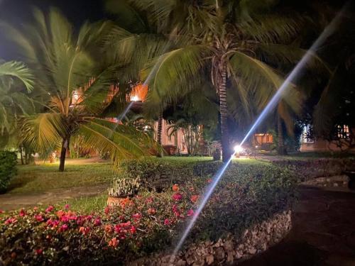 tembo court apartment