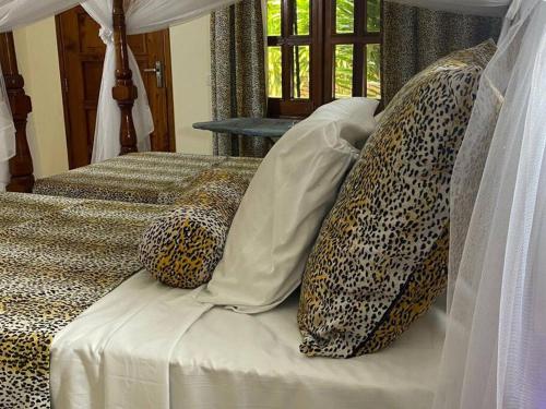 tembo court apartment