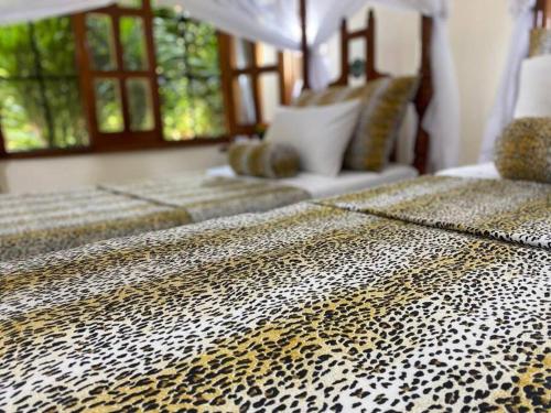 tembo court apartment