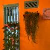 casa renacer