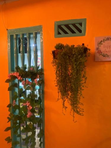 casa renacer