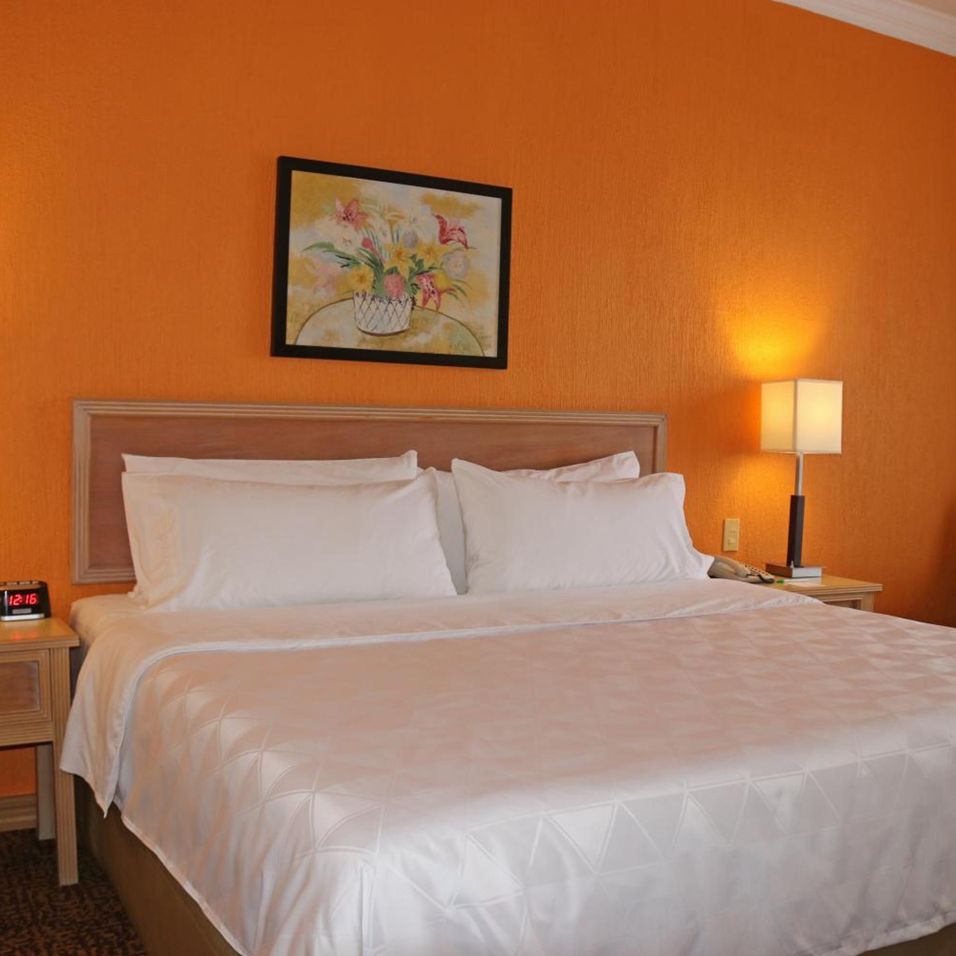 holiday inn la piedad by ihg