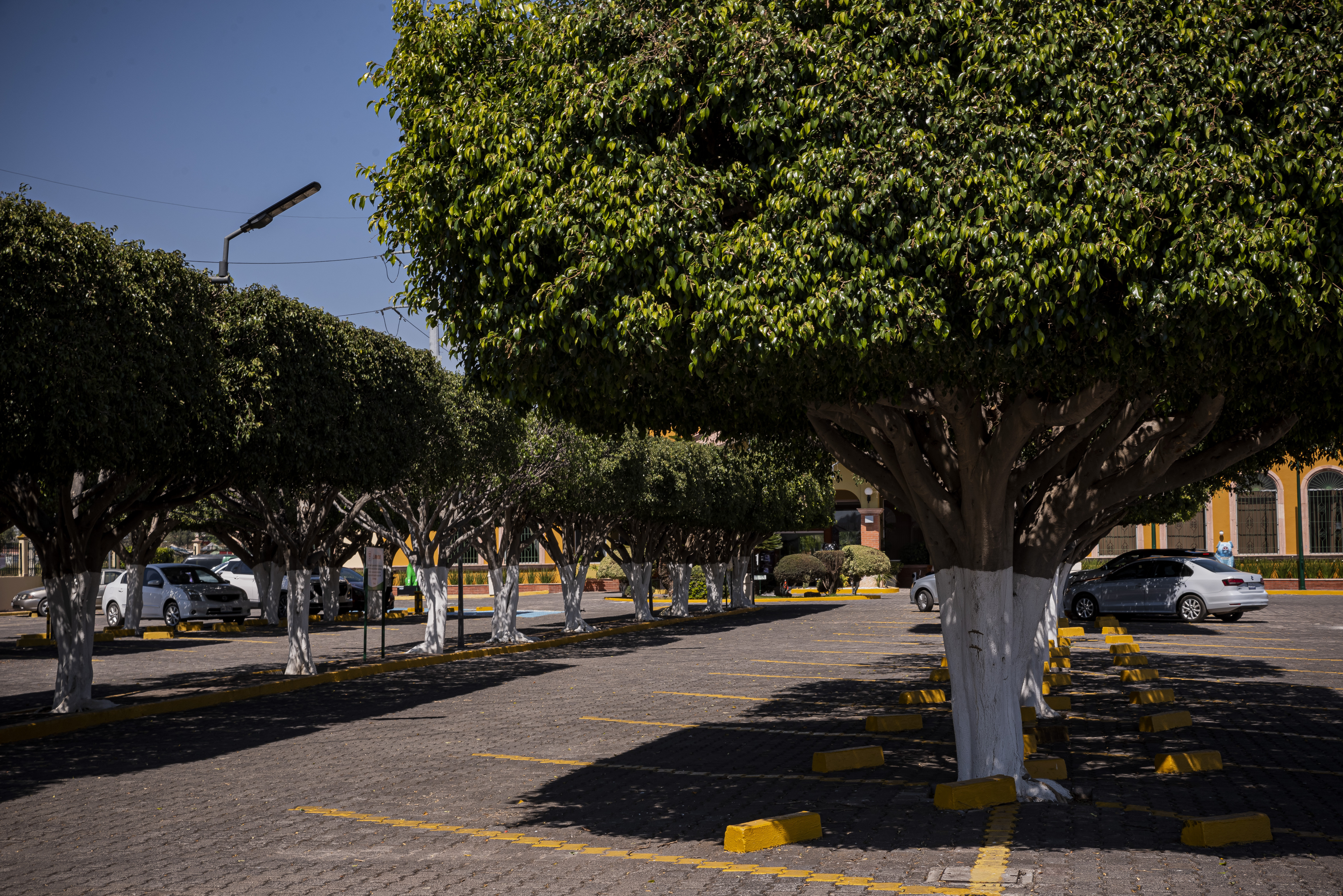 holiday inn la piedad by ihg