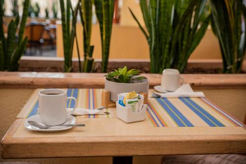 holiday inn la piedad by ihg