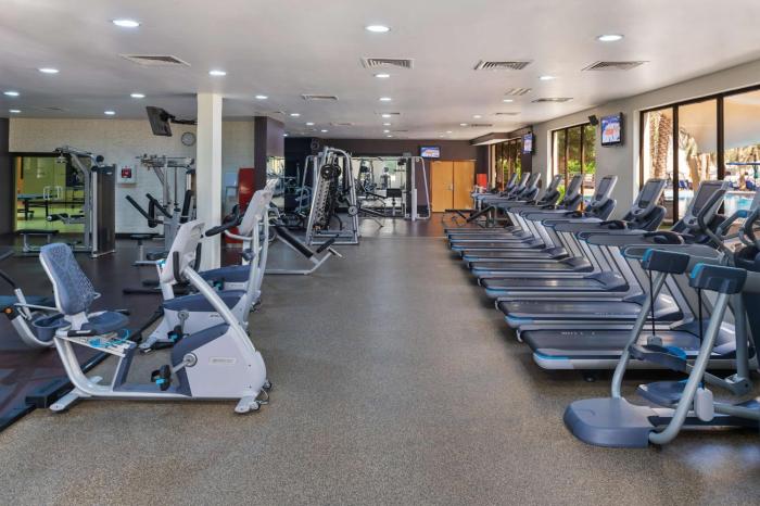 radisson blu hotel and resort al ain