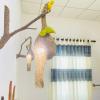 habarana