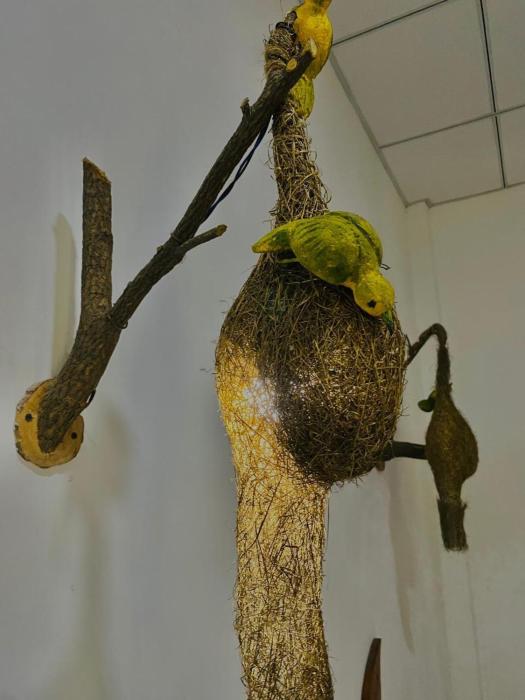 habarana