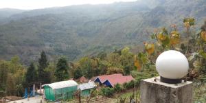 darjeeling