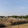 vamoose shri ram wild desert resort