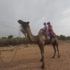 vamoose shri ram wild desert resort