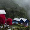 Vamoose Rigzen,Kalimpong>>Darjeeling,0 star