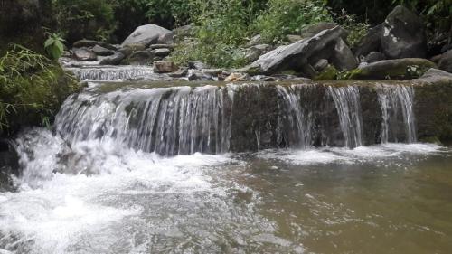 mangwa