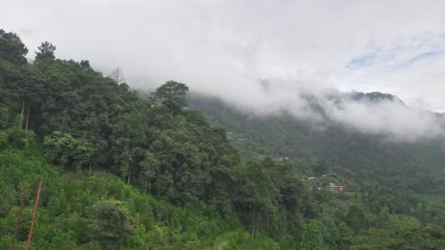mangwa