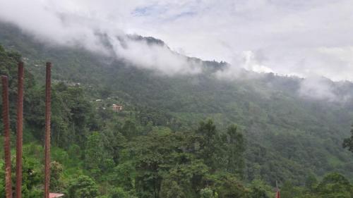 mangwa