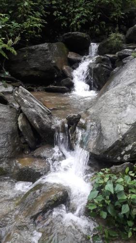 mangwa
