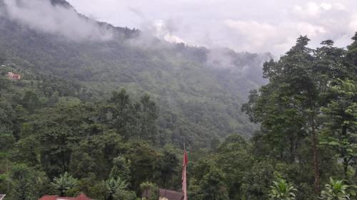 mangwa