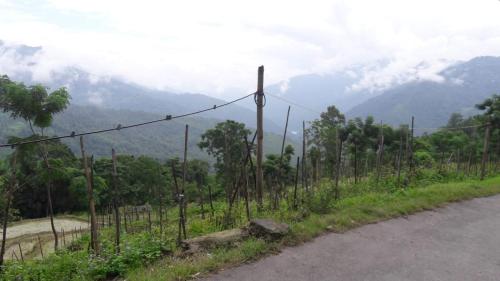 mangwa
