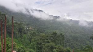 mangwa