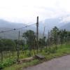 Vamoose Rajalim Homestay,Kalimpong>>Darjeeling,0 star