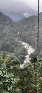 munnar