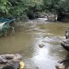 munnar
