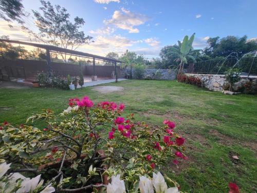 cabanas villa paola