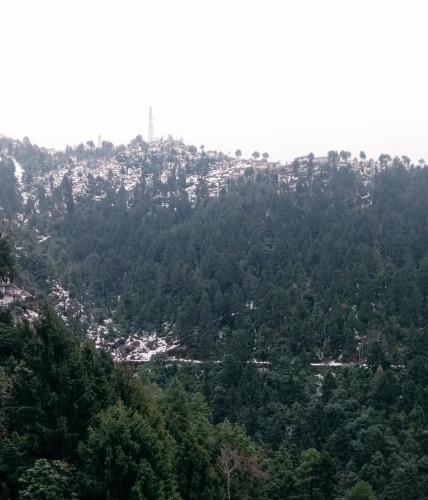 dalhousie