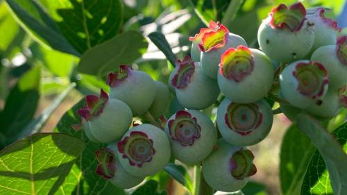 quinta vale salgueiro