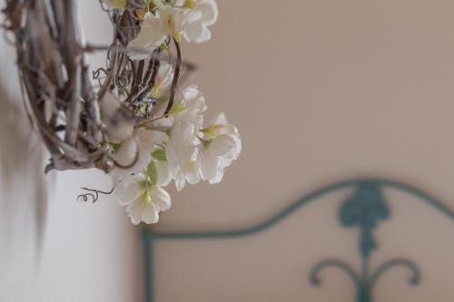 quinta vale salgueiro