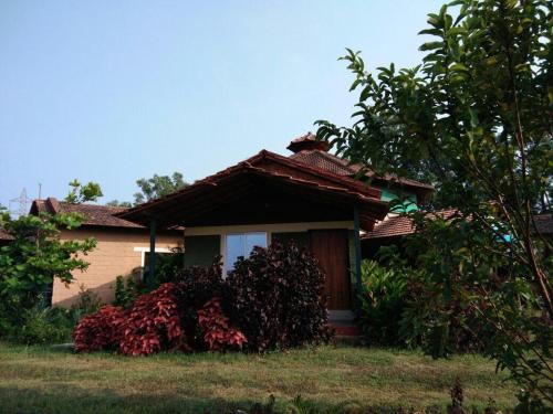 dandeli