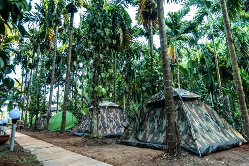dandeli