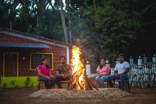 dandeli