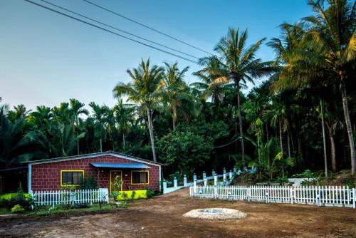 dandeli