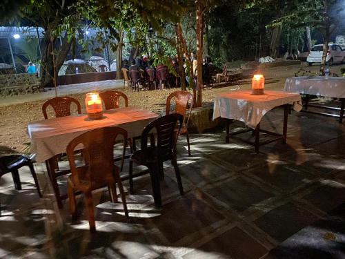 dandeli