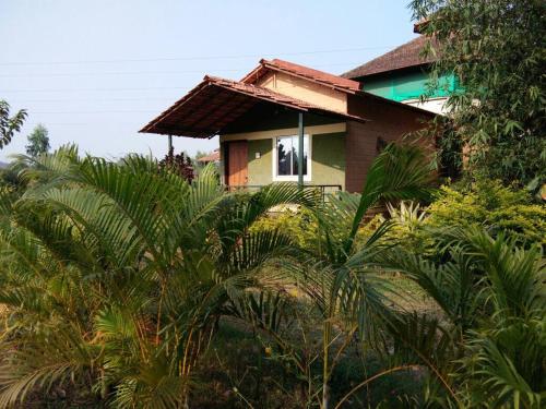 dandeli