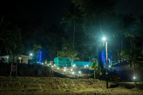 dandeli