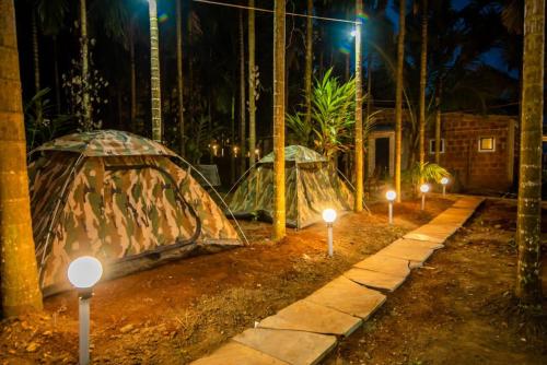 dandeli