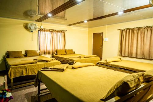dandeli