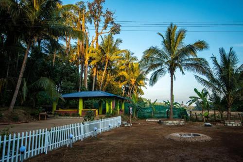 dandeli