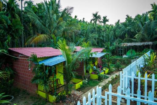 dandeli