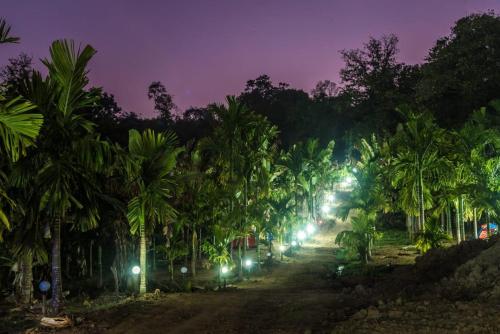 dandeli