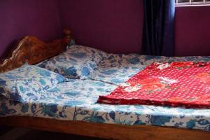 vamoose balgal homestay