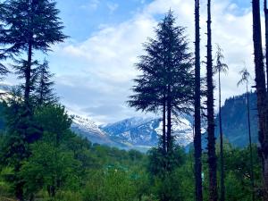 getaway stays manali