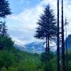 getaway stays manali